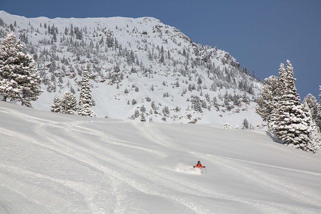 Simon Peterson shot of Joanna skiing